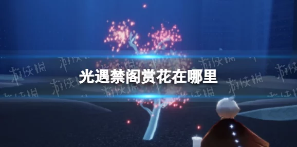 光遇禁阁赏花任务全攻略，解锁春日浪漫新篇章