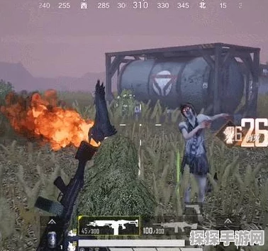 和平精英金币开宝箱全攻略