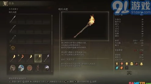 手游资讯，探索艾尔登法环中拒绝的刺的焚毁之谜
