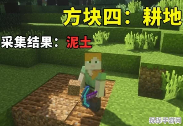 我的世界凋零骷髅头快速获取攻略，揭秘高效收集之道