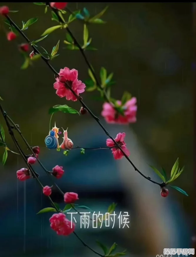 最强蜗牛蘑菇园炫彩揭秘，多彩蘑菇引领手游新风尚