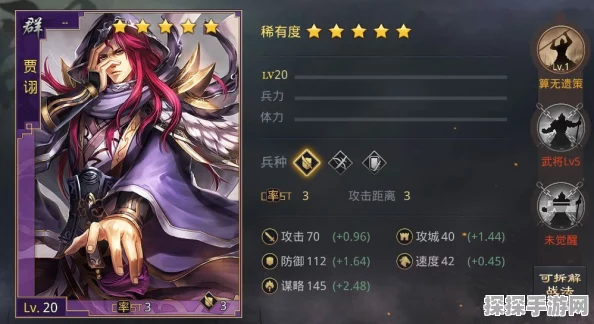 双贾诩战术搭配揭秘，手游三国志策略新高度