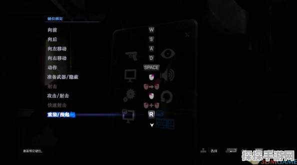 生化危机6切换位置方法全面解析，键盘与手柄操作详解