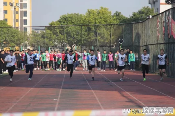 光遇运动会盛大启幕，详细赛程及趣味玩法全面揭秘