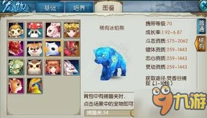 诛仙手游稀有宠物大全，解锁你的专属萌宠之旅