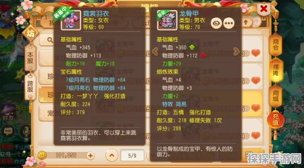 诛仙手游青云职业高效刷图宠物搭配策略与全攻略指南