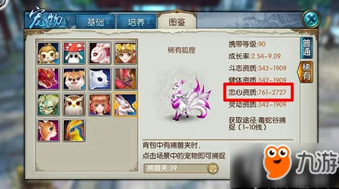 诛仙手游青云职业高效刷图宠物搭配策略与全攻略指南