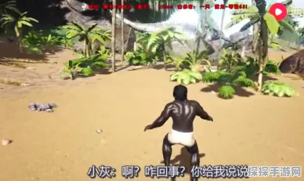 方舟生存进化可驯服生物饲料全攻略
