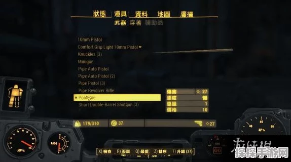 辐射4加点攻略深度解析，打造你的废土传奇