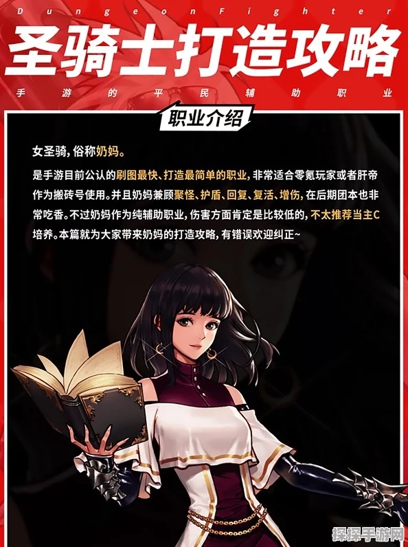 DNF手游圣骑士角色成长攻略，辅助之路必备装备选择与秘籍