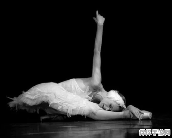 绝对演绎新推芭蕾风顶奢，演绎黑白天鹅经典之美