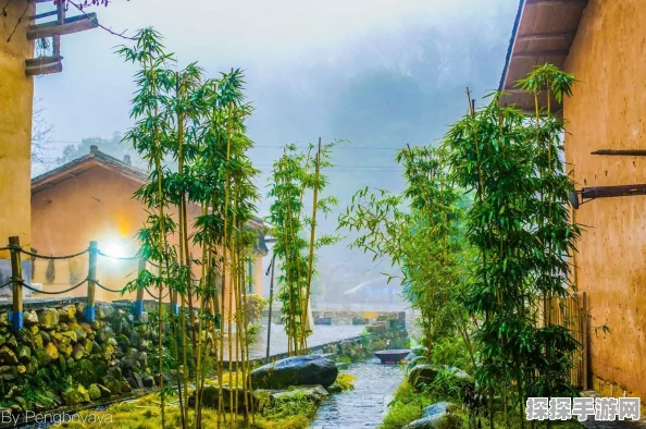 桃源深处有人家钓鱼玩法攻略详解