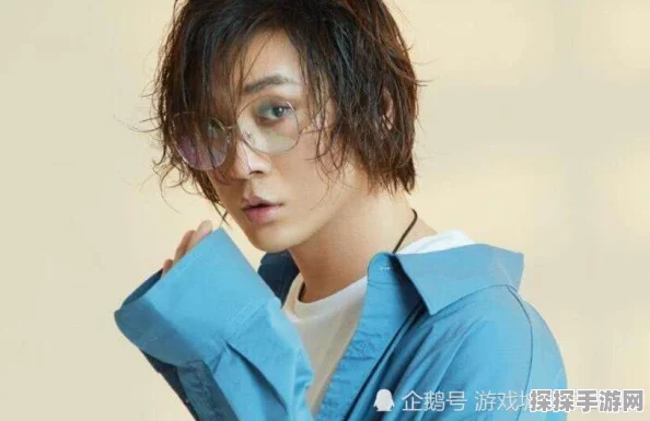 王者荣耀主播张大仙经久不衰之谜，深度解析与全面资讯