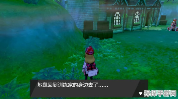 宝可梦剑盾铠之孤岛，揭秘百变怪岛位置与攻略