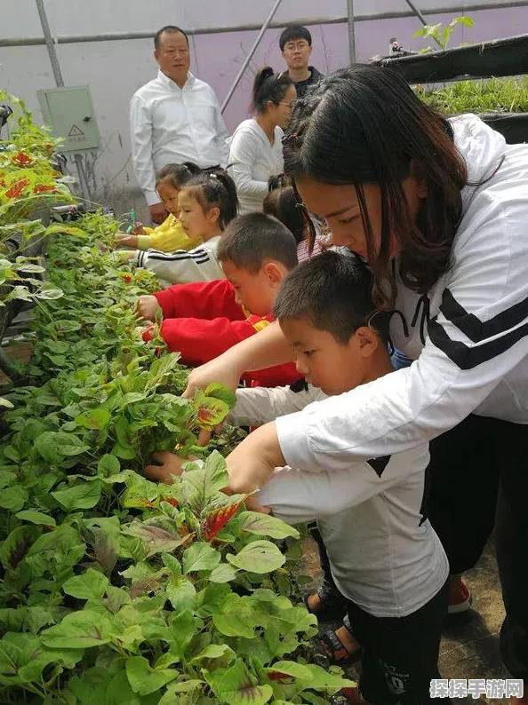 养殖场之星手游新版本震撼发布，打造你的梦幻模拟动物园