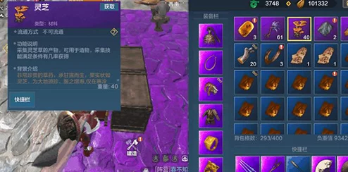 妄想山海珍珠获取全攻略，珍稀材料轻松入手