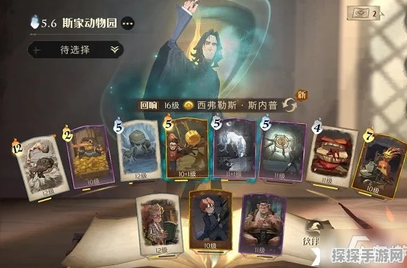 手游资讯，深入解析哈利波特，魔法觉醒双排法术流贝拉玩法