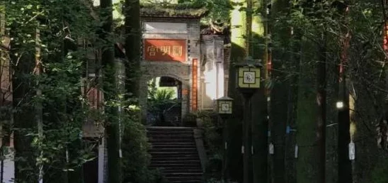 最强祖师修道深度修道玩法攻略与手游资讯