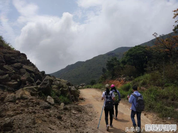 云顶之弈风元素格攻略，解锁核心策略，攀登巅峰战场