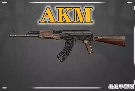 绝地求生，AKM与M16步枪深度对比，哪款更适合你的战场？