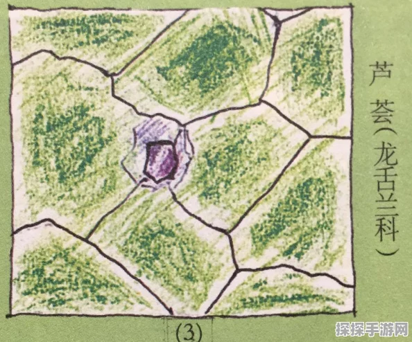 保卫萝卜3高效刷叶子攻略，手游资讯速递