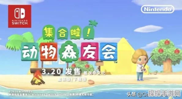 动物森友会无人岛探险全攻略，开启你的梦幻之旅