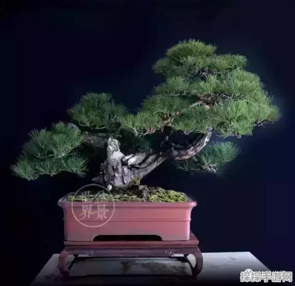 地下城堡3，魂之诗世界树树冠攻略全解析