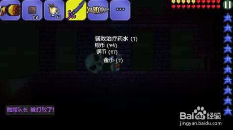 泰拉瑞亚专家OSS顺序攻略，解锁你的冒险新篇章