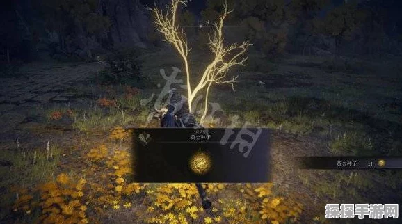 艾尔登法环深度攻略，轻松驾驭主线流程，解锁奇幻冒险新篇章