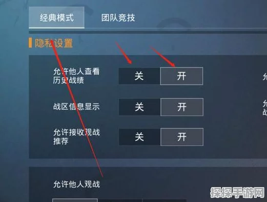 和平精英振动模式高品质开启全攻略，解锁沉浸式游戏体验的必备钥匙