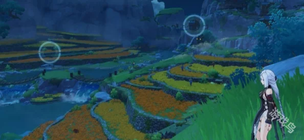原神画外旅照青植之篇，拍照攻略全解析，记录翠绿光影之旅