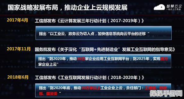 第七史诗策划者莱伊卡云，深度解析与全面评估