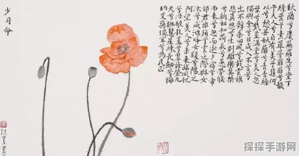 手游资讯，揭秘最强蜗牛基因形态选择策略