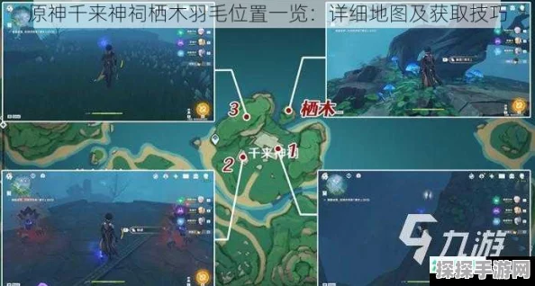 原神供奉栖木攻略，揭秘三个羽毛的隐藏位置
