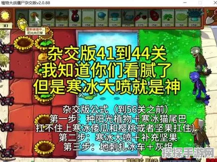手游资讯，植物大战僵尸54关攻略详解与版本亮点