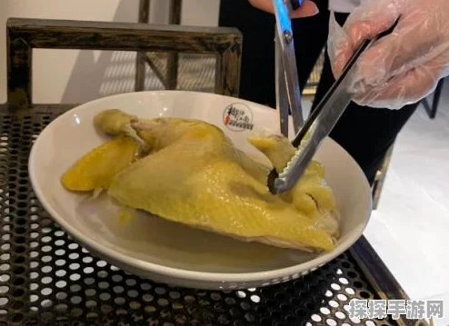 食物语新手搭配阵容通用指南，打造你的美食冒险团队