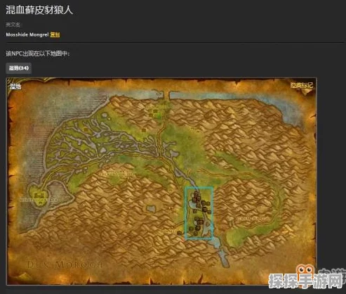 魔兽世界隐藏任务全攻略，揭秘未知冒险的奇妙之旅