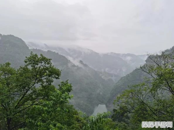 仙境传说RO手游刺客职业深度解析，技能加点与快速升级全攻略