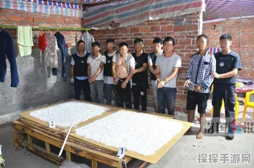 重生细胞手游高墙征服指南，全面解析爬墙技巧与攻略