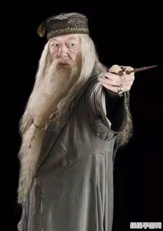 哈利波特魔法觉醒巫师界面全面解析，新版本更新与活动预告