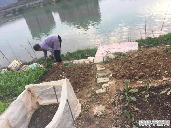 自在西游召唤流开荒攻略与稀有装备获取秘籍