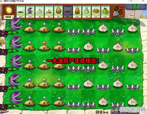手游资讯，植物大战僵尸2——最强实用植物阵容揭秘