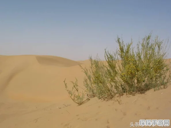 手游资讯，我的世界新增幸运属性，探险者的全新福音！