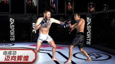UFC 2游戏手机版免费安卓APK震撼发布，格斗爱好者不容错过！