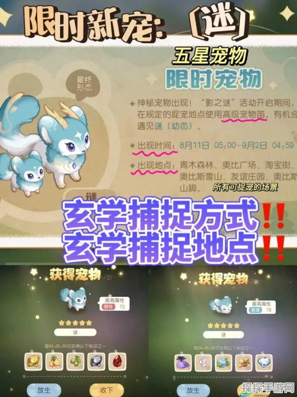 奥比岛手游宠物系统全面解析，萌宠相伴，探险更精彩