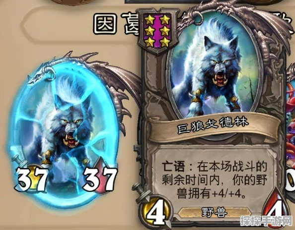 炉石传说新卡牌揭秘，狼骑兵卡牌图鉴深度解析