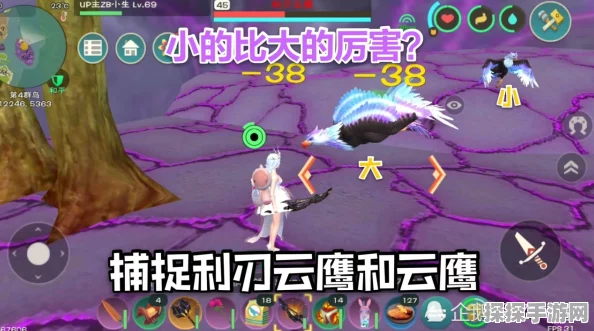 创造与魔法利刃云鹰饲料全解析，助你轻松捕捉神秘浮岛的霸主