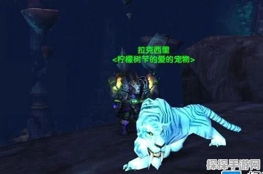 魔兽世界手游猎人宠物放生全攻略