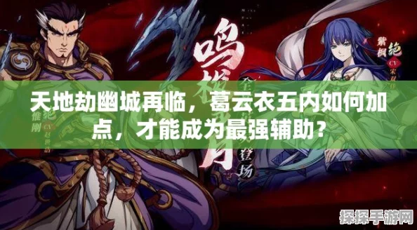 天地劫，幽城再临葛云衣五内最佳加点深度解析