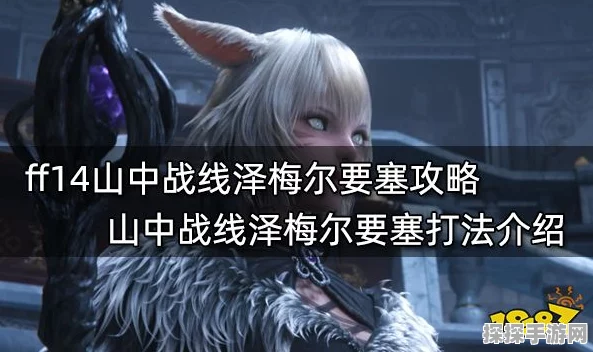 FF14山中战线泽梅尔要塞通关秘诀何在？全面深度攻略大揭秘